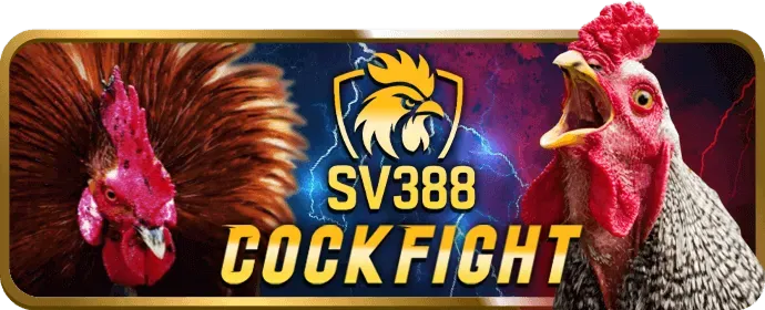 Biểu tượng Twitter của bg88 nhà cái